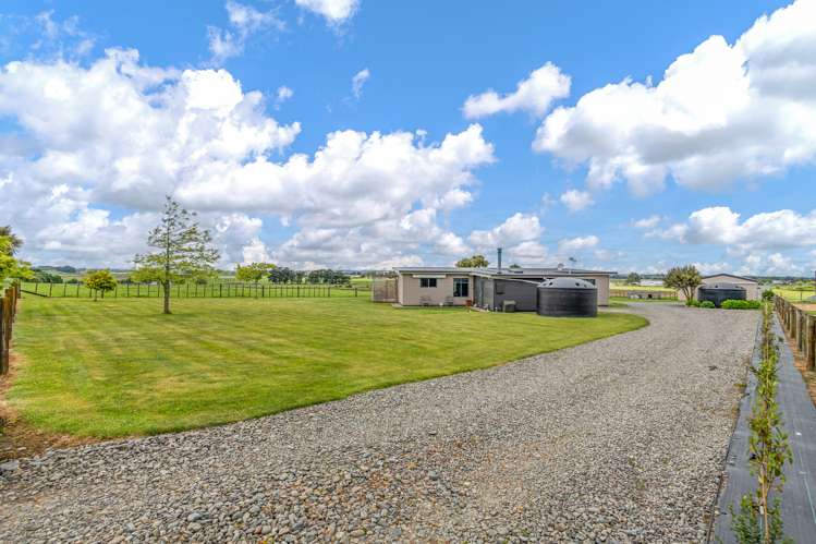 47 Viles Road Bulls_20