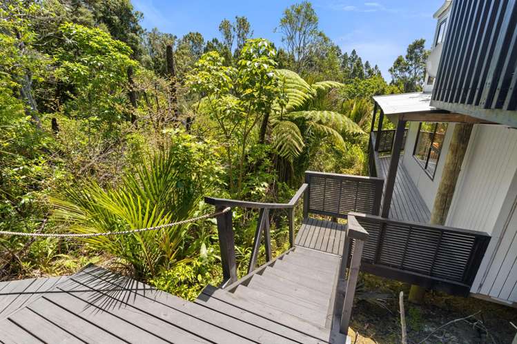 80 Tender Road Dairy Flat_30