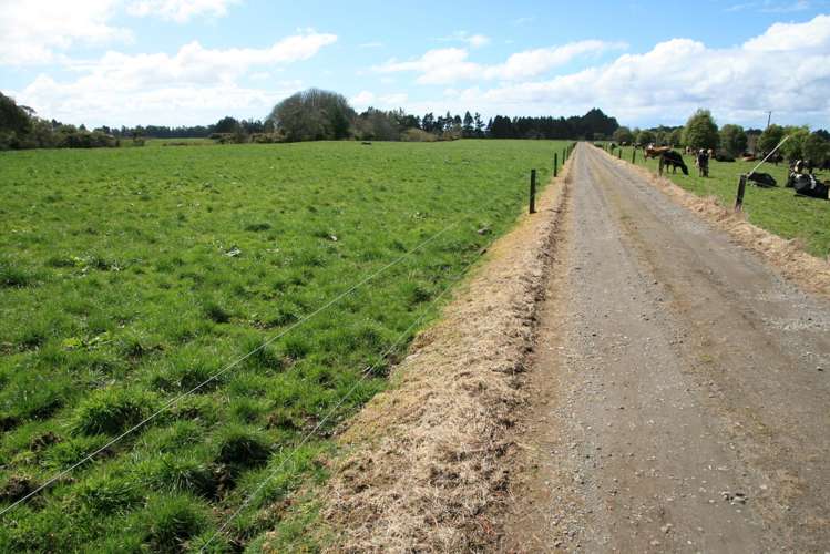 2403 Mountain Road Tariki_20