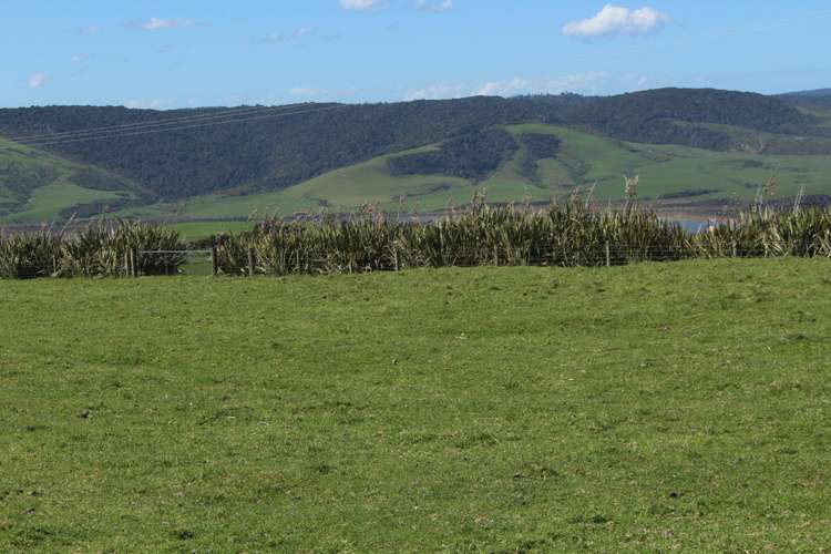 375 Slope Point Road Wyndham Surrounds_5