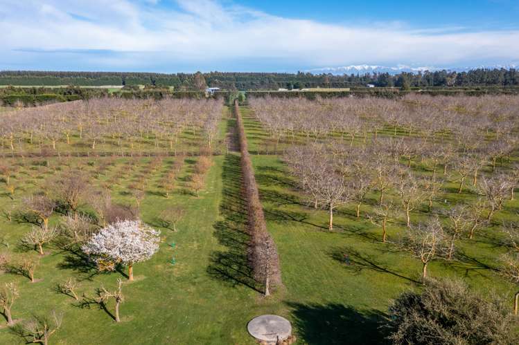 973 Hoskyns Road West Melton_5