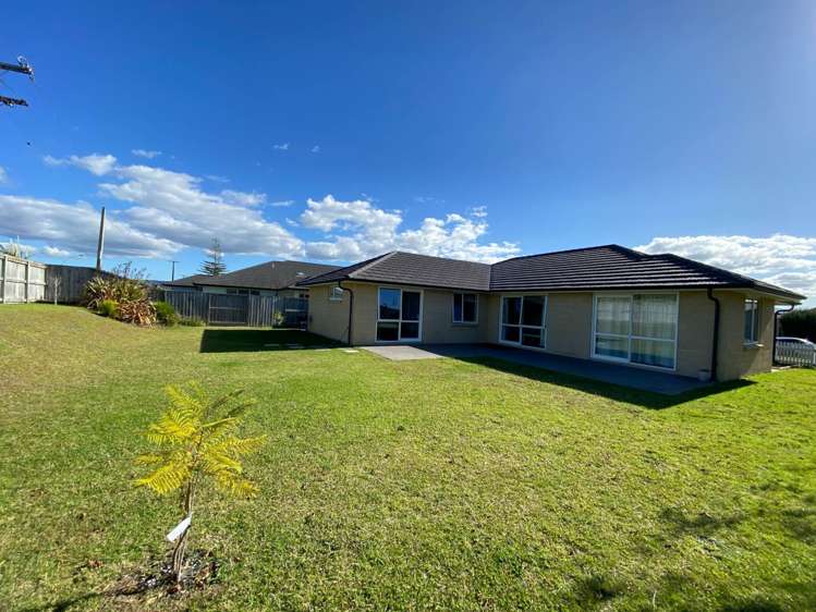 38 Charlotte Drive Omokoroa_3