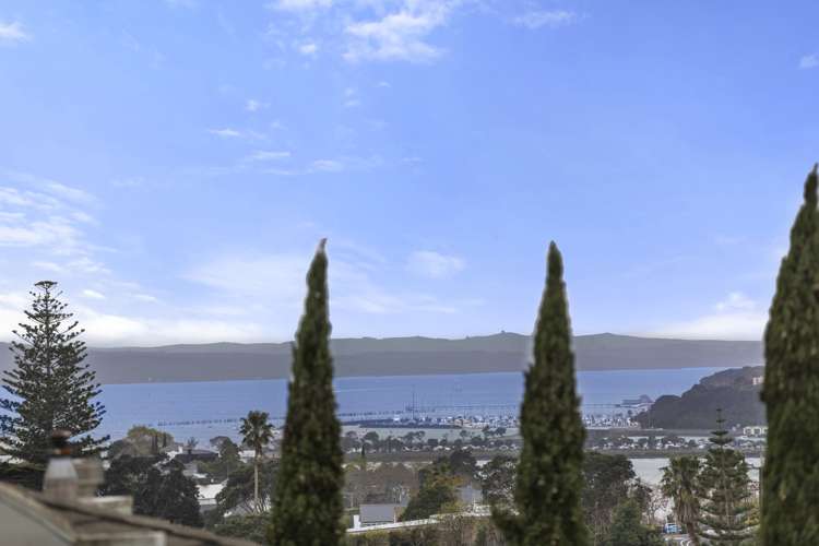 2d/18 Joseph Banks Terrace Remuera_11