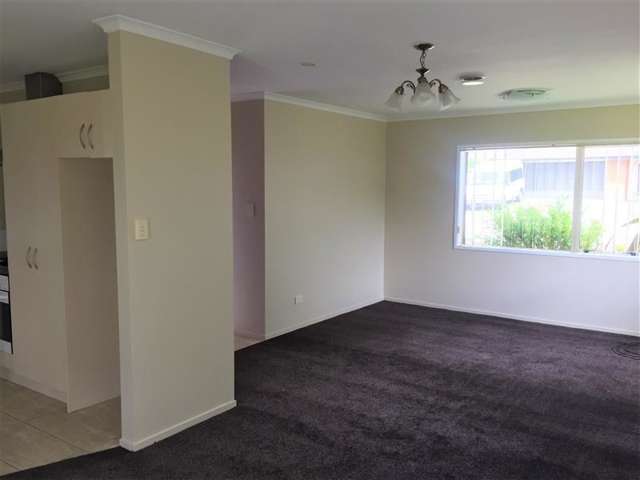 46 Cinnamon Road Mangere_2