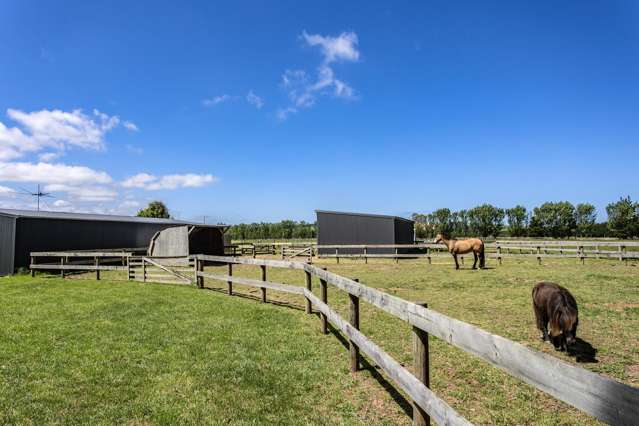 3/340 Douglas Road Amberley_2