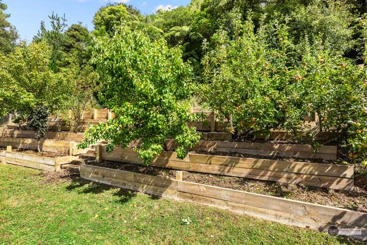 45 Logie Street Stokes Valley_15