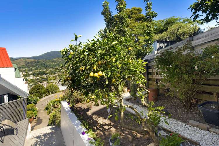 2/5 Jasper Way Washington Valley_18