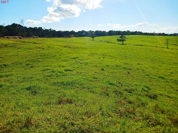 Lots 1-4 Tahanga Road Lake Ohia_14