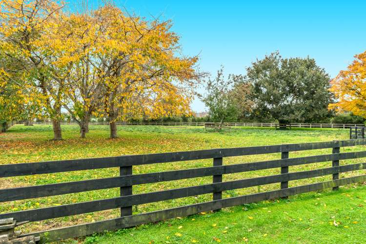 195 Athlone Drive Cambridge_11