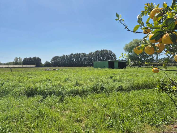 390 Macdonald Road Te Teko_25