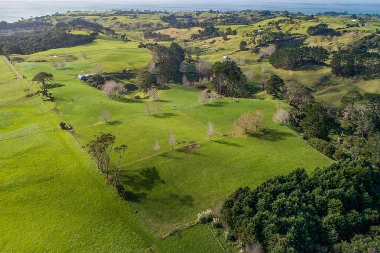 41 Marshall Road Manukau Heads_5