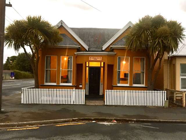 160 Albany Street North Dunedin_1