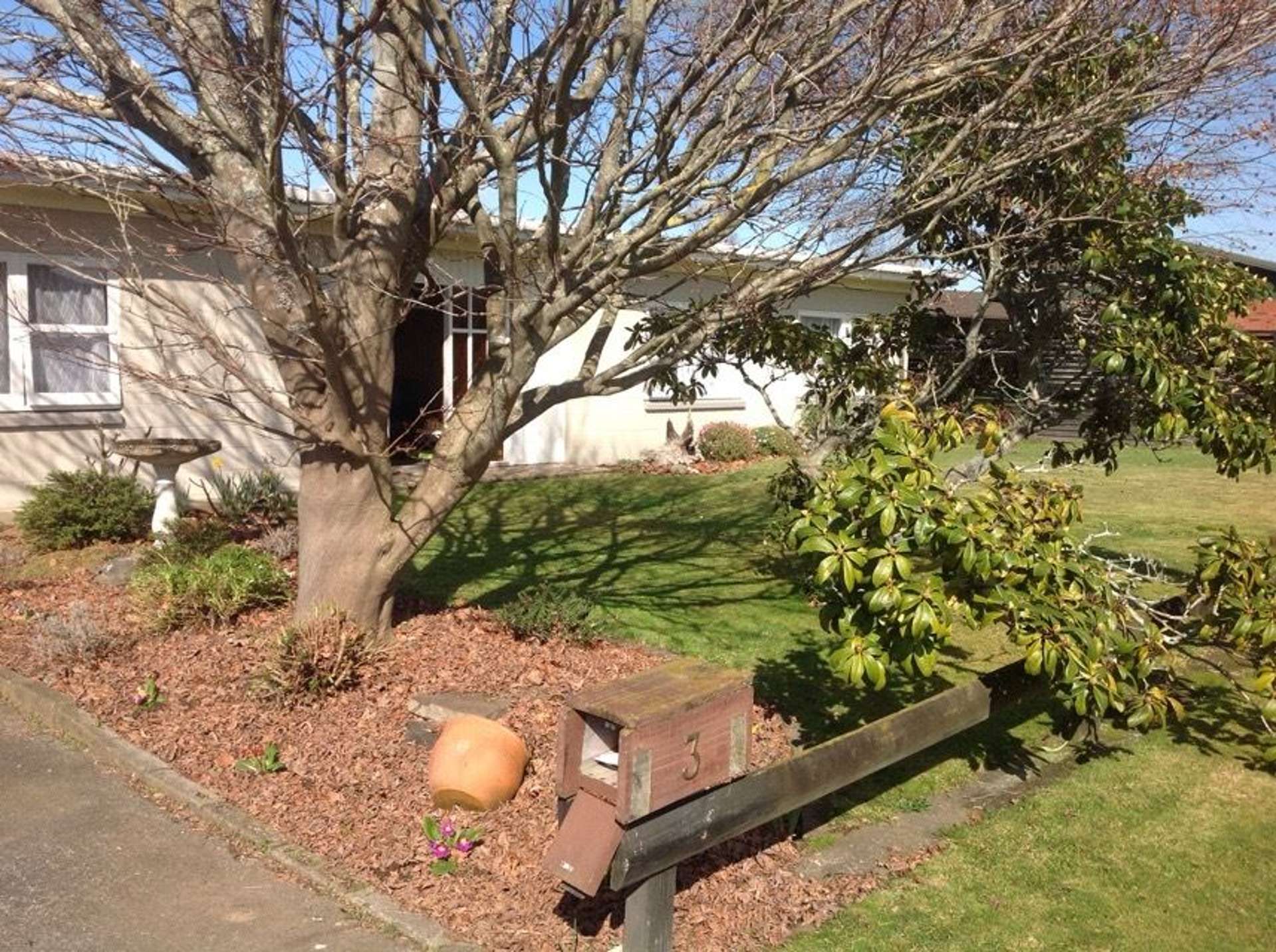 3 Findlater Street Matamata_0