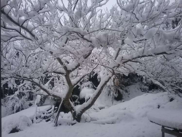 20 Lulus Lane Lyford_28