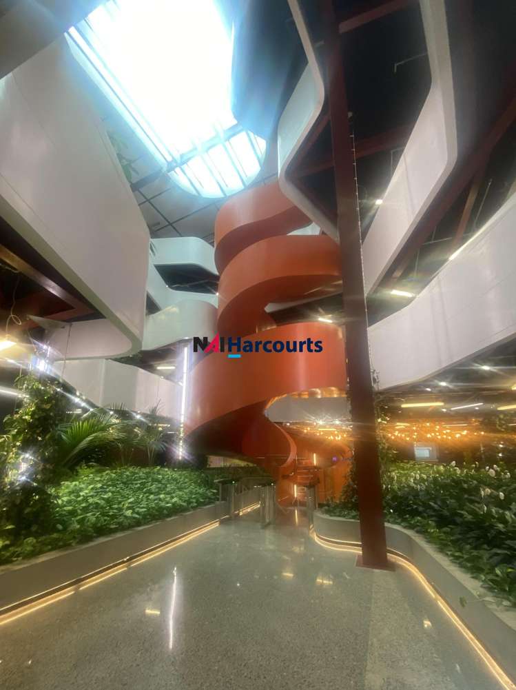 B:Hive/74 Taharoto Road_0