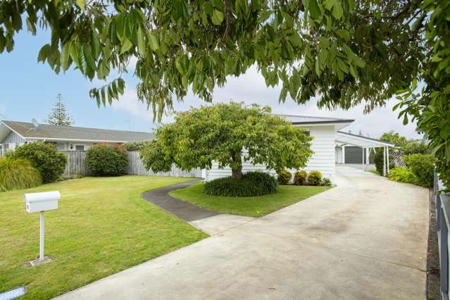 1057 Aberdeen Road Te Hapara_3