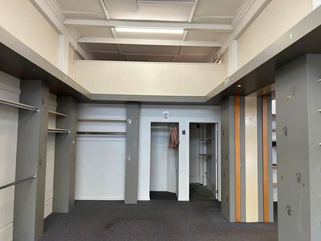 256 Emerson Street Napier Cbd_4