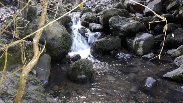 1457 Western Valley Road Port Levy_9