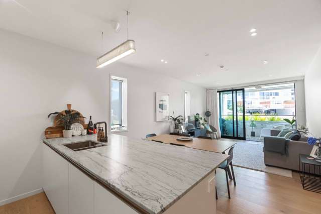201/11 Paora Street (fully furnished, 6-8 mths) 1743_1