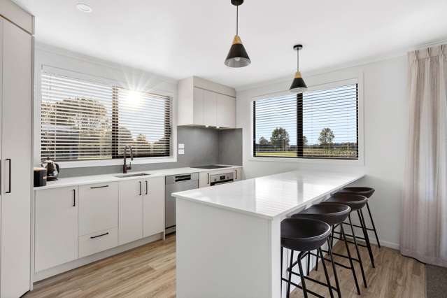 11 Millpark Lane Matangi_4