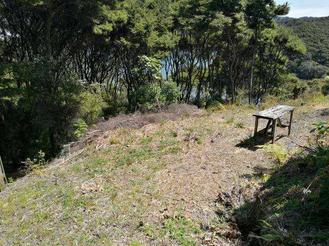 687 Whangaparapara Road Great Barrier Island (Aotea Island)_2