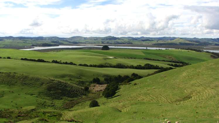 369 Burma Road Tapora_13