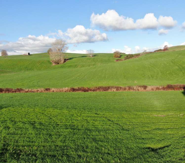 Waitomo Caves Road Waitomo_5