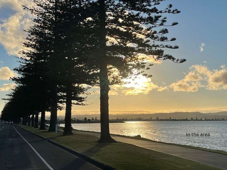 127 Waghorne Street Ahuriri_14