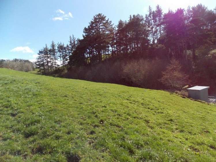 222 Lincoln Road Inglewood_6