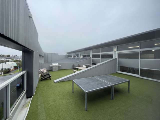 3.2/36 Williamson Avenue Grey Lynn_4