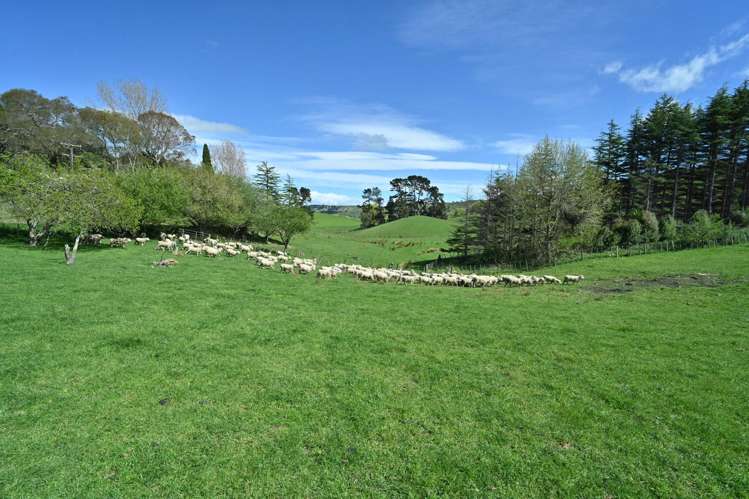 683 Bush Road Wallingford_21