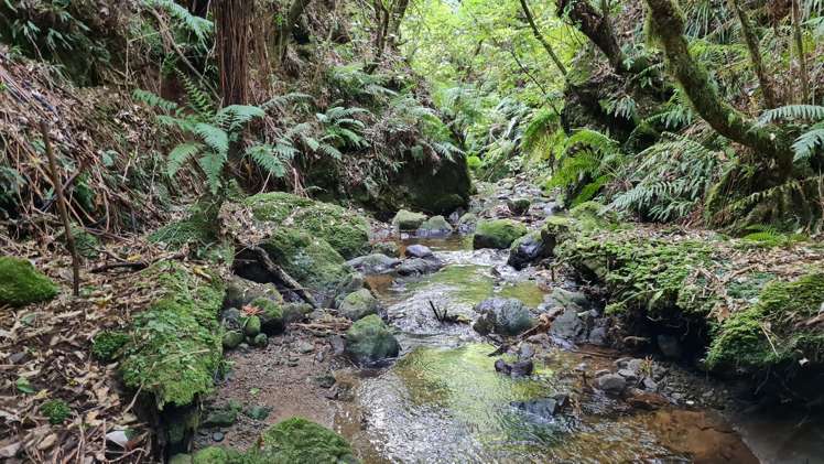 141 Kaitawa Road Hautere_3