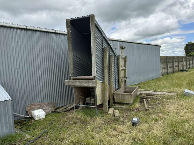 389 Mckenzie Road Browns_10