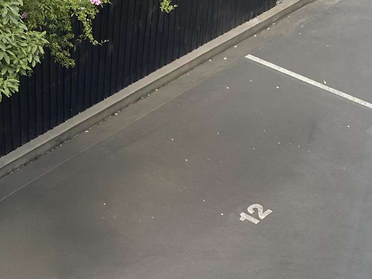 12/16 Hutcheson Street Sydenham_8