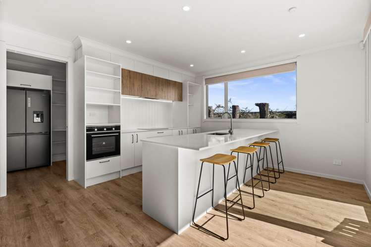 53 Wai Whatu Street_4