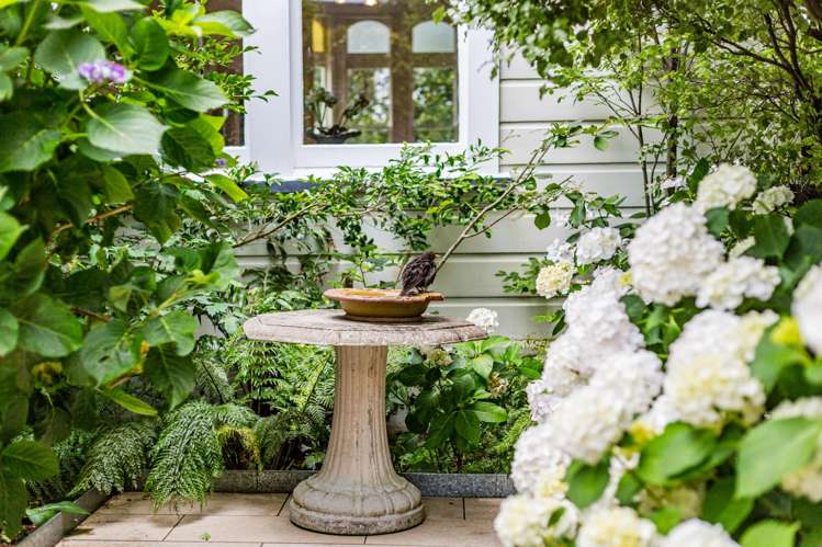 23 Hobson Crescent Thorndon_23