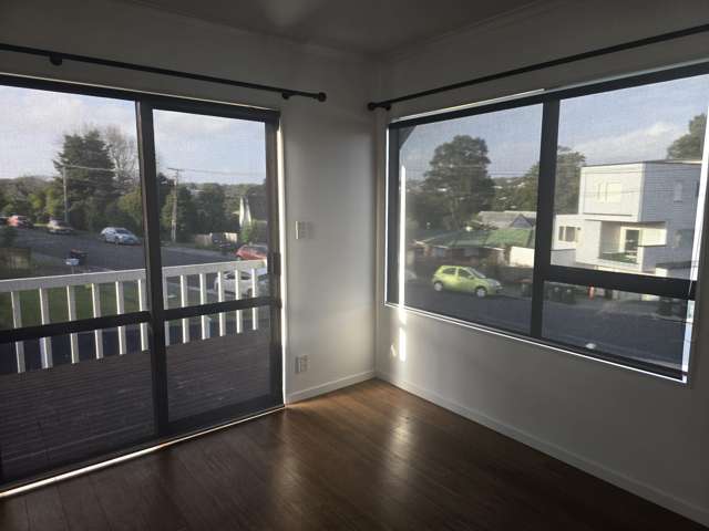 3 Griffen Park Road Mount Roskill_4