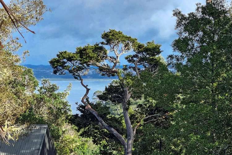 14 Hebe Place Birkenhead_16