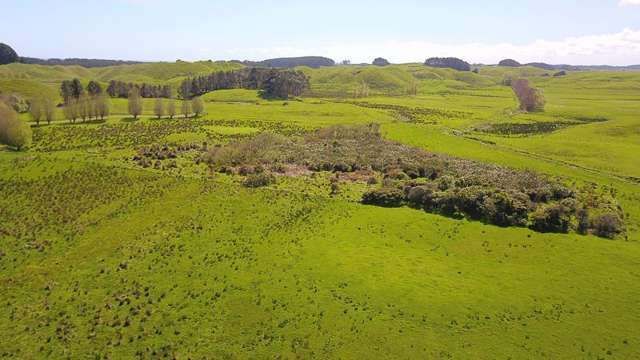 616 Muhunoa West Road Ohau_3