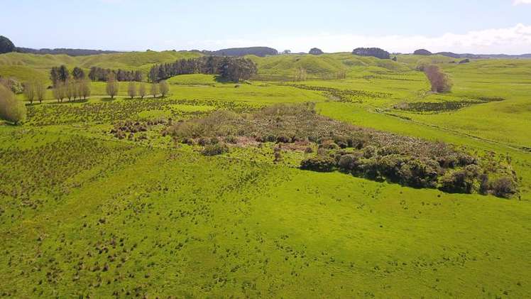 616 Muhunoa West Road Ohau_3