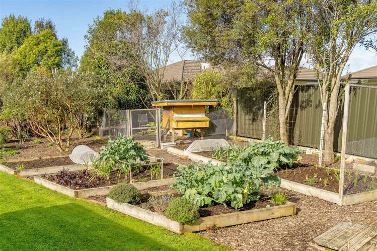 6 Paul Street Masterton_22