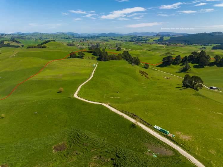 385 Whirinaki Valley Road Rotorua Surrounds_11