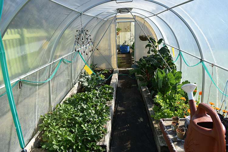 67 Palmerston Street Riverton_31