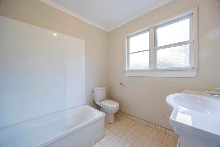 46 The Avenue Albany_14