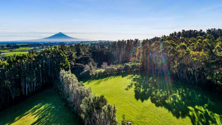 709 Ingahape Road Ohangai_8