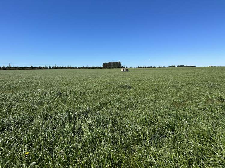 Te Pirita Road Hororata_7