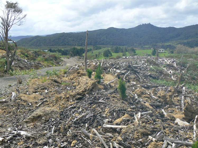 Taheke Road Horeke_12