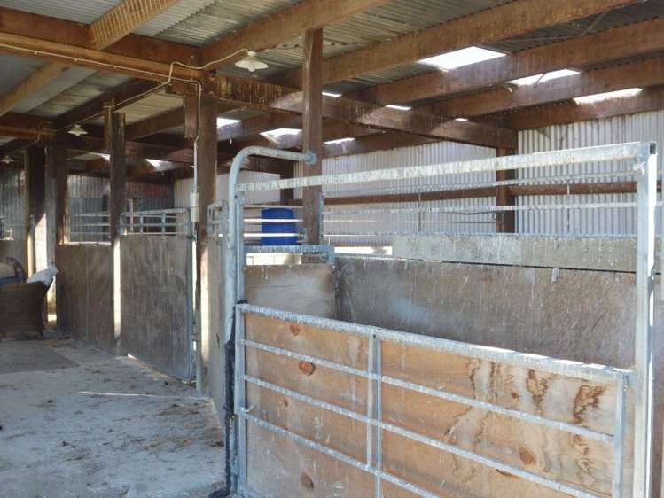 110 Price Road Winton_7