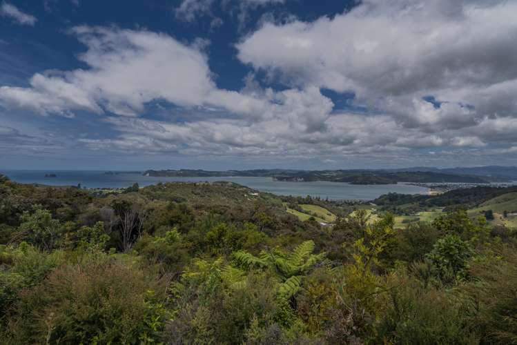 57 Tarapatiki Drive Whitianga_8