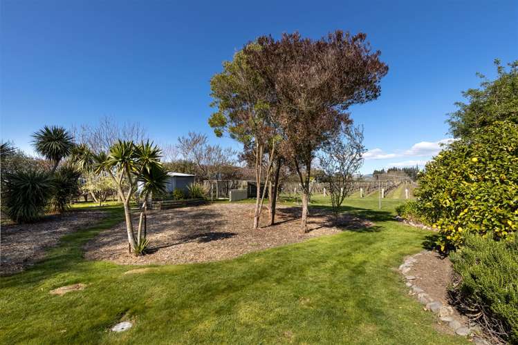 115 Matthews Lane Rapaura_24